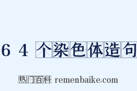 64个染色体造句是什么意思的图片
